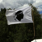 Corsican flag