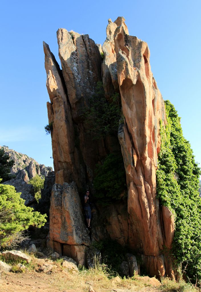 Miso in Calanche rock formations in Piana