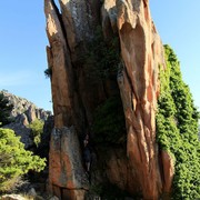 Miso in Calanche rock formations in Piana