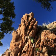 Paula climbing Calanche rocks
