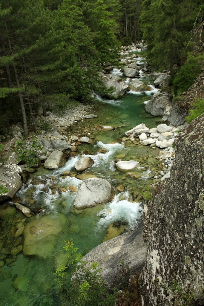 Gorges de la Restonica - near Corte