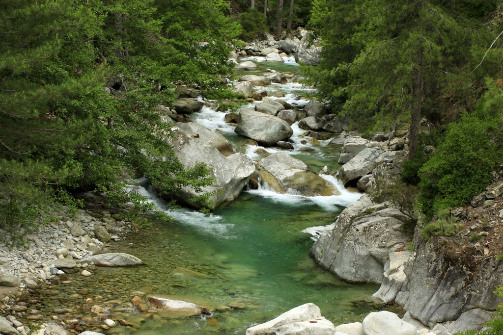 Gorges de la Restonica