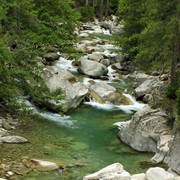 Gorges de la Restonica