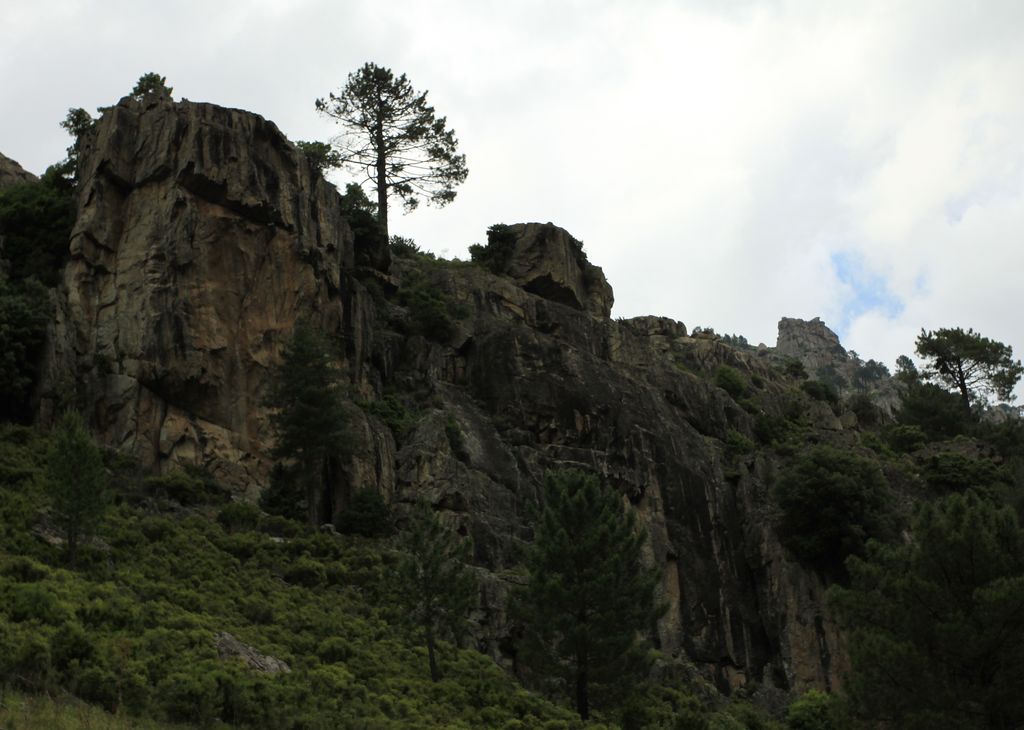 La Restonica climbing area - view from the road 01