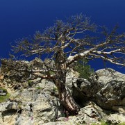 Trek to Monte Rotondo 08