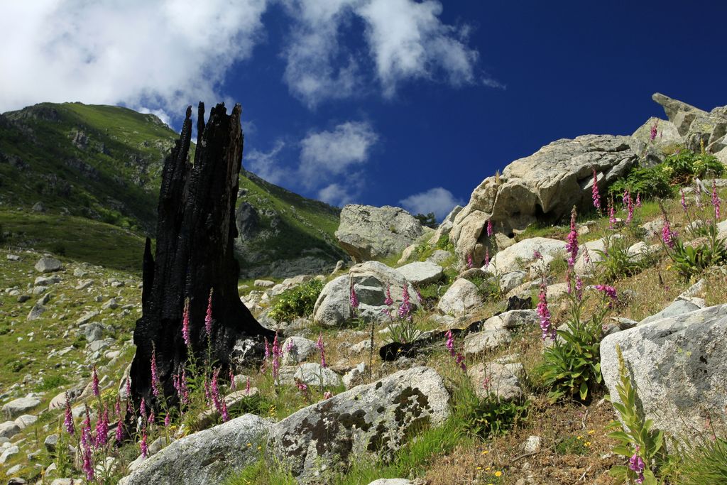 Trek to Monte Rotondo 09