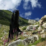 Trek to Monte Rotondo 09