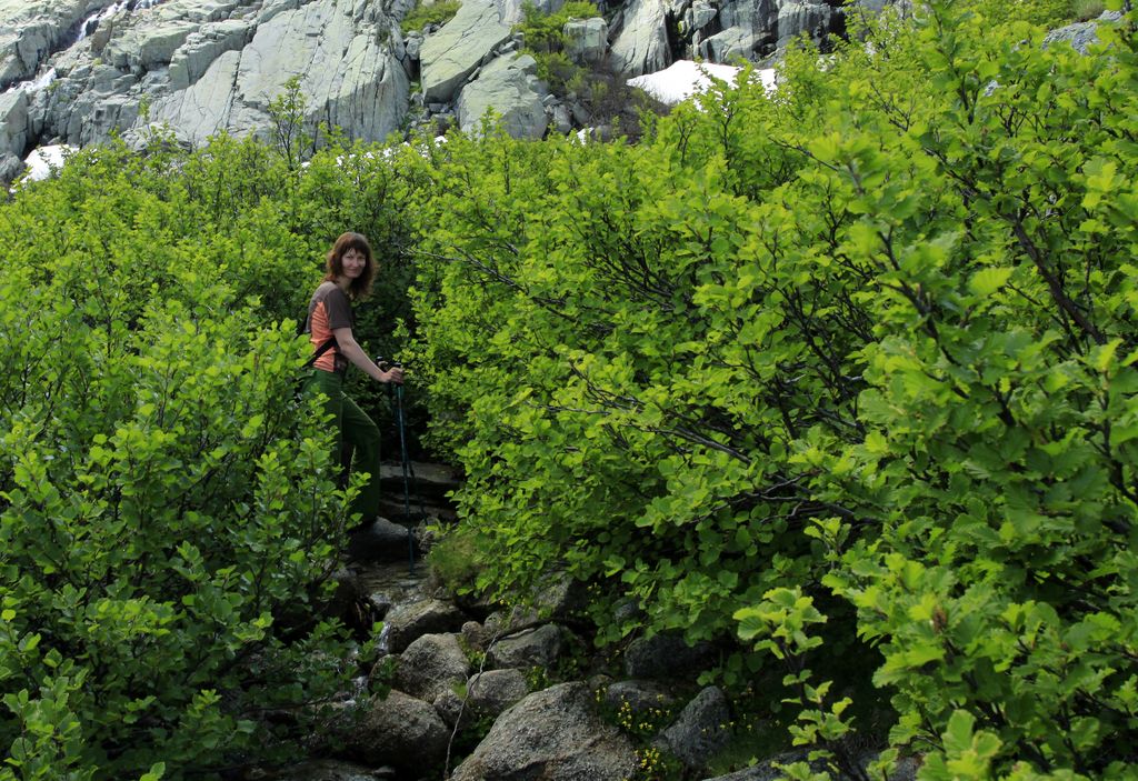 Corsica - trek to Monte Rotondo 15