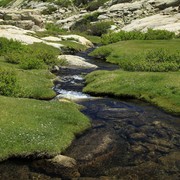 Trek to Monte Rotondo 25