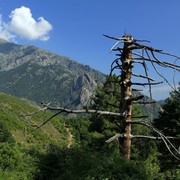 On the way to Cascades des Anglais