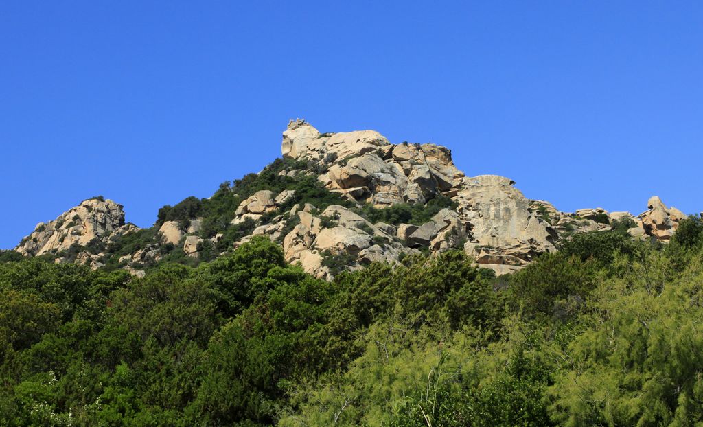 Corsica - Lion de Roccapina