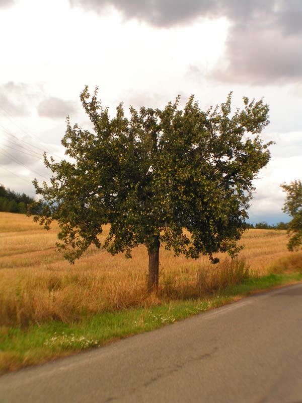 Czechia - Hřiměždice 16