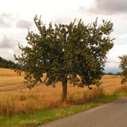 Czechia - Hřiměždice 16