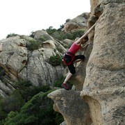 Boba climbing in Roccapina 02