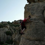 Boba climbing in Roccapina 03