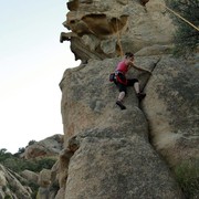 Boba climbing in Roccapina 04