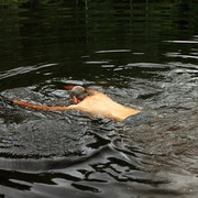 Czechia - Slackline festival (2010) - 16