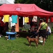 Czechia - Slackline festival (2010) - 30