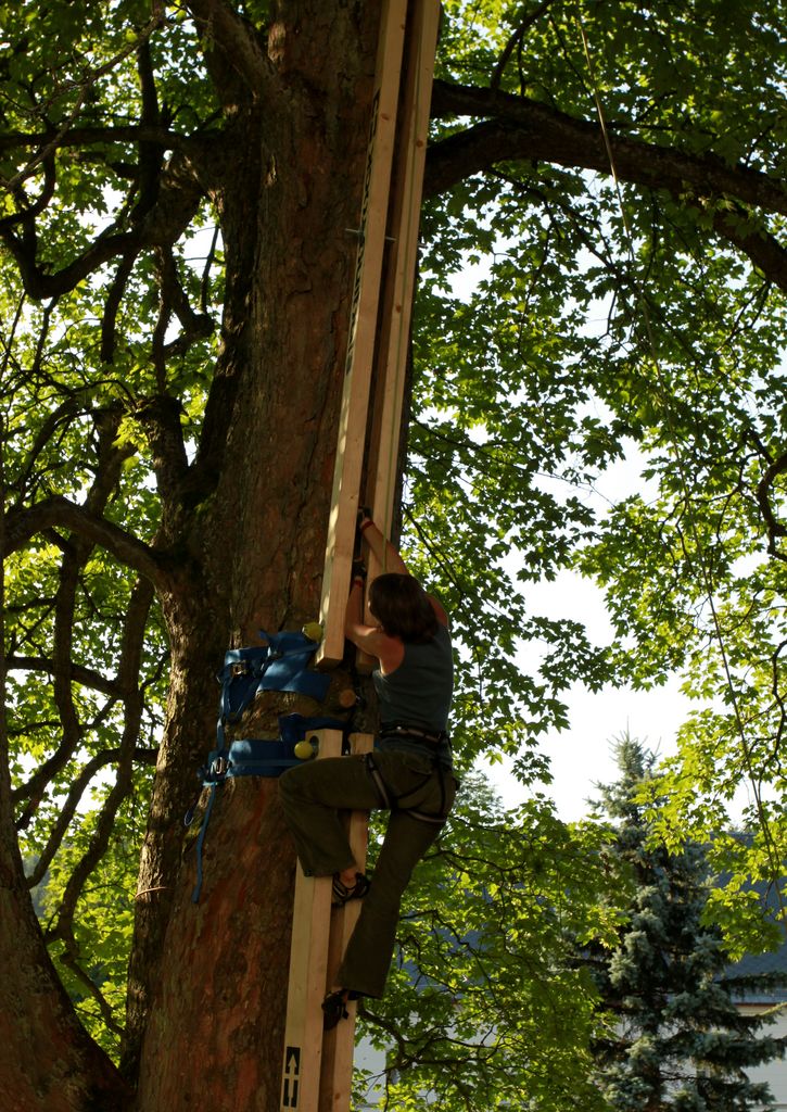 Czechia - Slackline festival (2010) - climbing competition 02