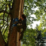 Czechia - Slackline festival (2010) - climbing competition 02