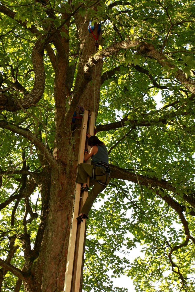 Czechia - Slackline festival (2010) - climbing competition 03