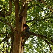 Czechia - Slackline festival (2010) - climbing competition 03