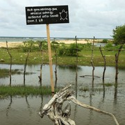 Sri Lanka - Pasekudah bay 02