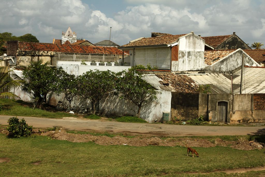 Sri Lanka - Galle - inside fort 02