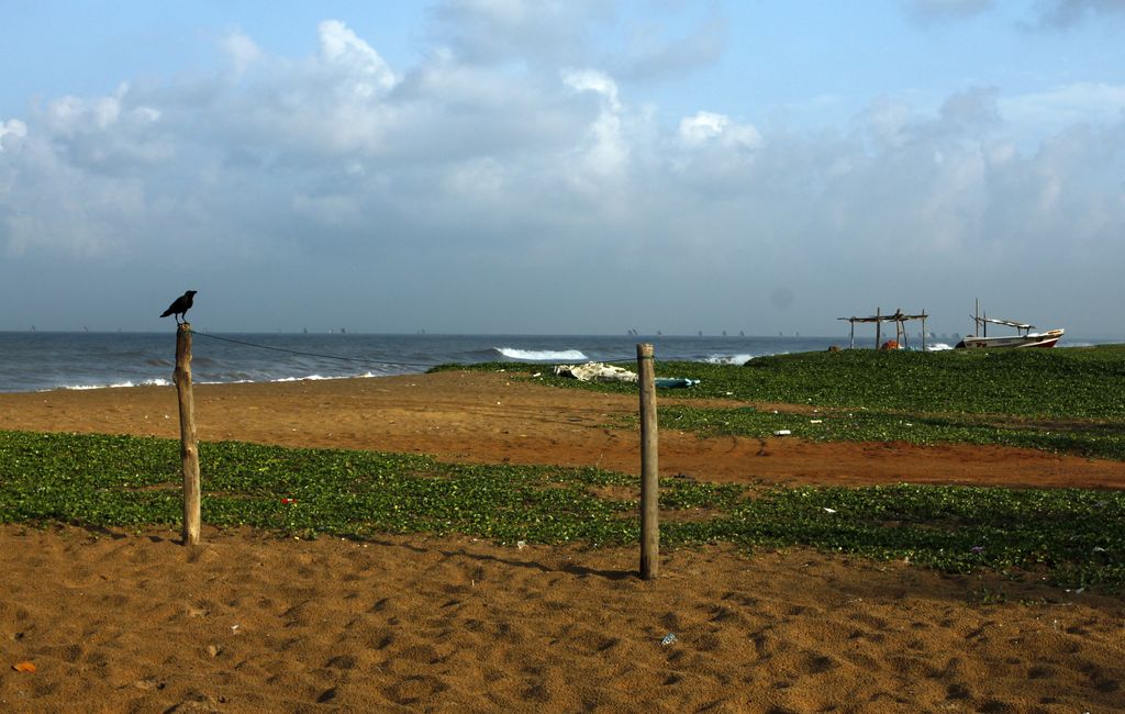 Sri Lanka - Negombo beach 03