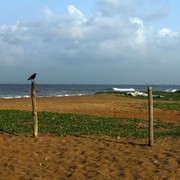 Sri Lanka - Negombo beach 03