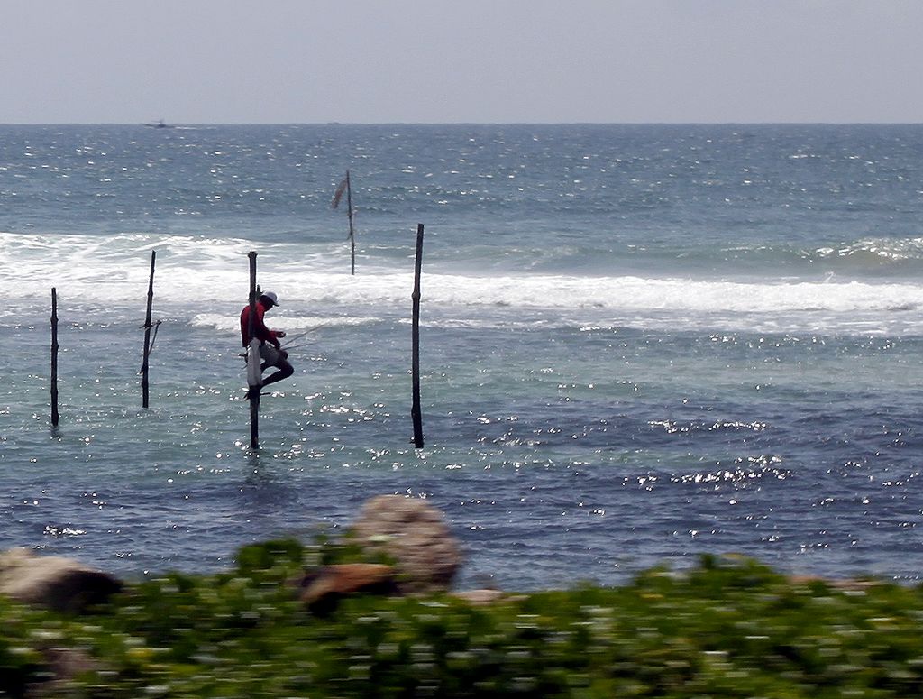 Sri Lanka - a stilt fisher 01