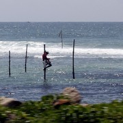 Sri Lanka - a stilt fisher 01