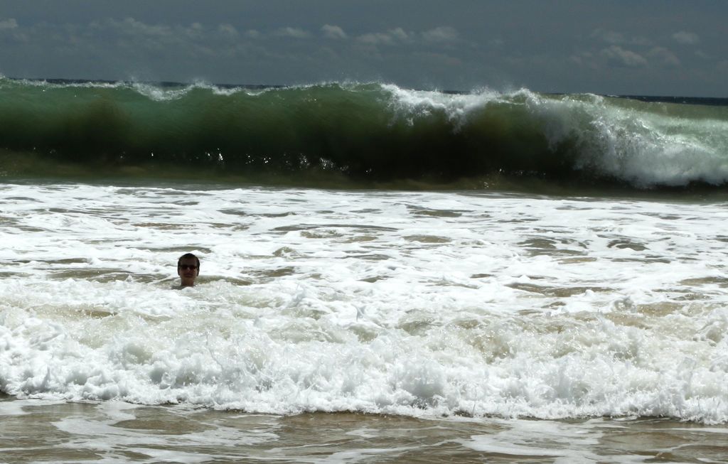 Sri Lanka - Mirissa - Janka 02