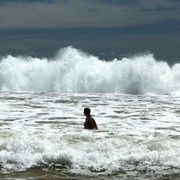 Sri Lanka - Mirissa - Janka 03