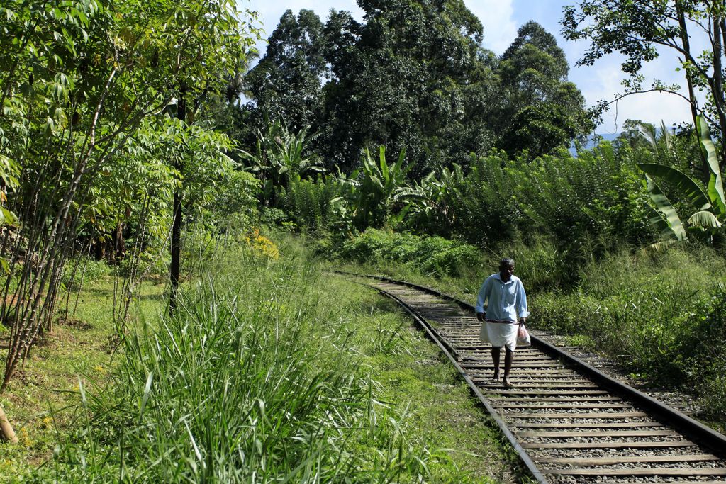 Sri Lanka - a trek to Ella rock 01