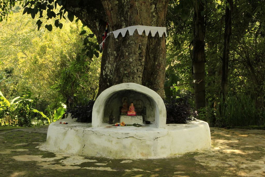 Sri Lanka - a Buddha tree altar in Ella 01