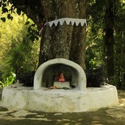 Sri Lanka - a Buddha tree altar in Ella 01