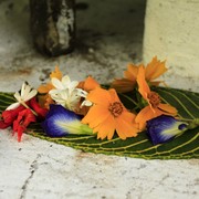 Sri Lanka - a Buddha tree altar in Ella 03