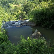 Sri Lanka - a trek to Ella rock 03