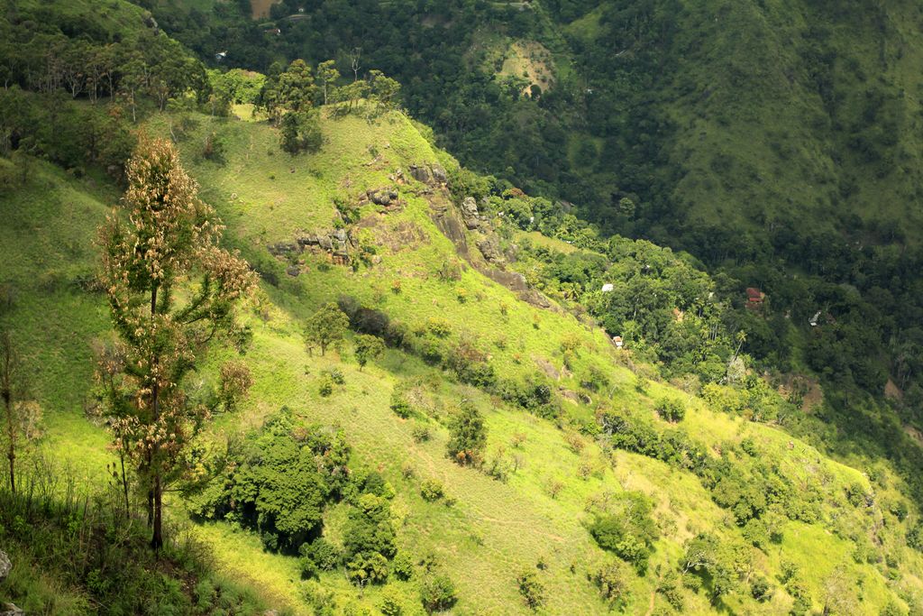 Sri Lanka - views from Ella Rock 02