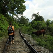 Sri Lanka - Brano and a cow :)
