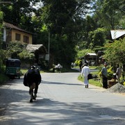 Sri Lanka - in the streets of Ella