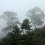 Sri Lanka - Little Adam's Peak