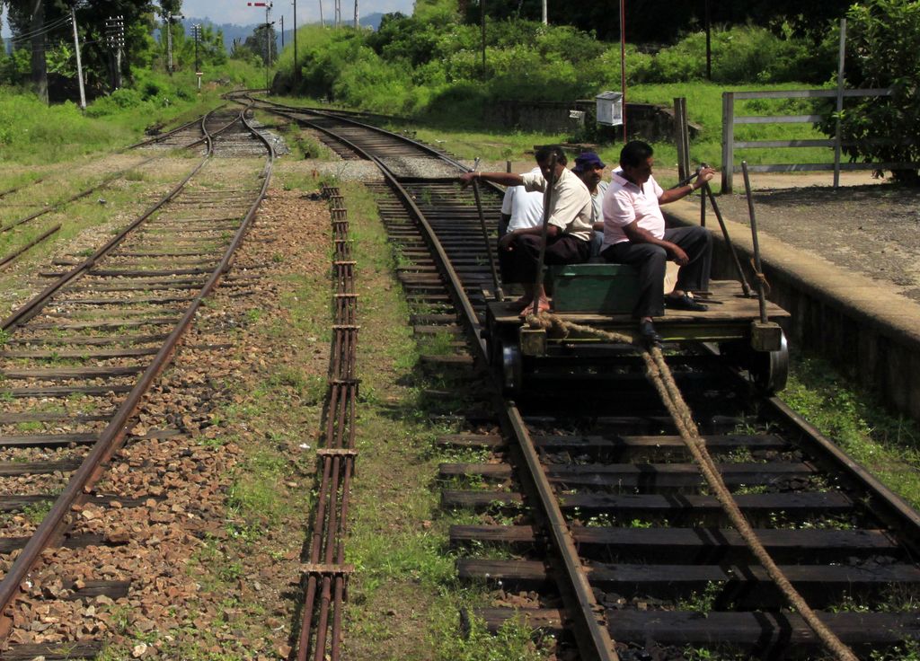 Sri Lanka - stowaways 02