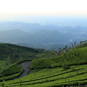 Sri Lanka - Haputale tea plantations 01