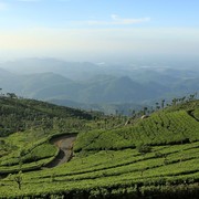 Sri Lanka - Haputale tea plantations 08