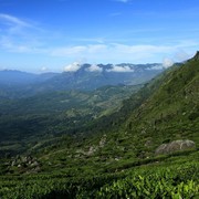 Sri Lanka - Haputale tea plantations 17