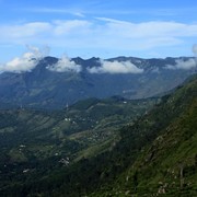Sri Lanka - Haputale tea plantations 18