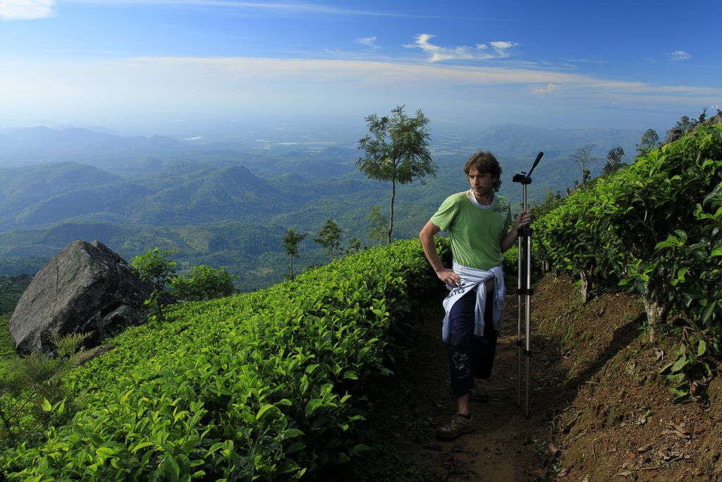 Sri Lanka - Brano on a tea plantation (Haputale)