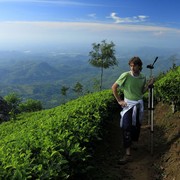 Sri Lanka - Brano on a tea plantation (Haputale)